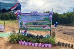 โครงการเพิ่มพื้นที่สีเขียวในตำบลห้วยทับมอญ